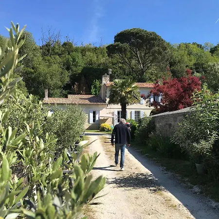 Le Pain De Lune Et D'hotes Avec Piscine Σπίτι διακοπών Bourg-sur-Gironde